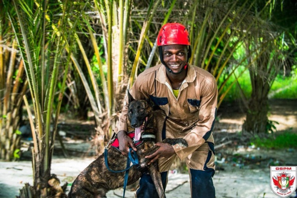 Cellule cynotechnique GSPM Côte d'Ivoire : comment des chiens sauvent des vies