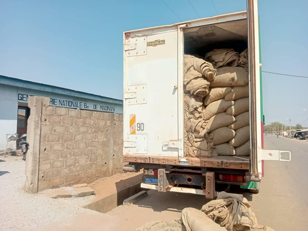 Trafic Cacao ivoirien : 25 tonnes saisies sur les axes Tiémé et Bouna-Doropo