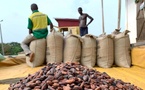 Fuite de produits agricoles à Sipilou : préfet, commissaire de police, chef des FACI, commandant de Gendarmerie et chef des douanes relevés de leurs fonctions